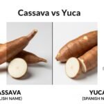 cassava vs yuca