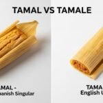 tamal vs tamale