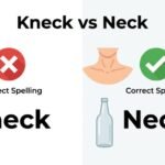 kneck or neck