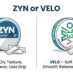 zyn or velo