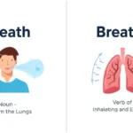breath or breathe