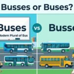 busses or buses
