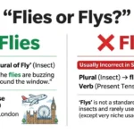 flies or flys