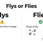 flys or flies