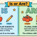 is or are
