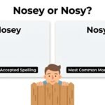nosey or nosy