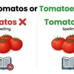 tomatos or tomatoes