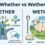whether or wether
